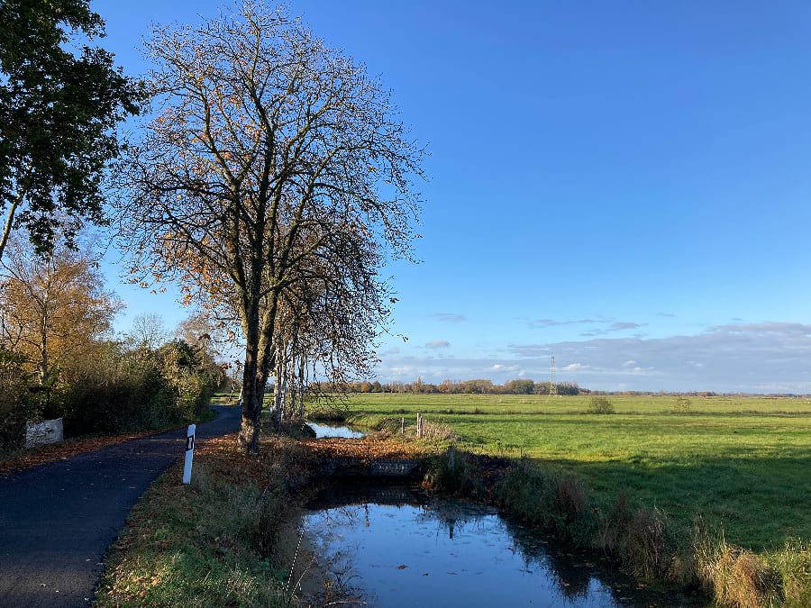 a flat landscape lots of green fields to the right, a canal and a paved road right next to it with some trees